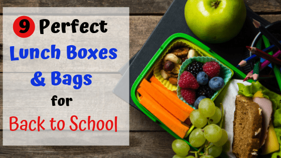 9 Perfect Lunch Boxes and Bags for Back to School