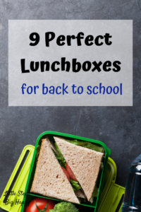 9 Perfect Lunch Boxes and Bags for Back to School