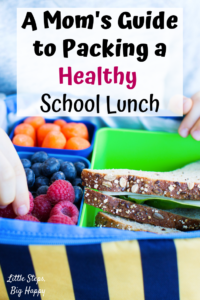 How to Pack a healthy school lunch
