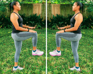 High Knee Raises - Full Body Beginner Workout